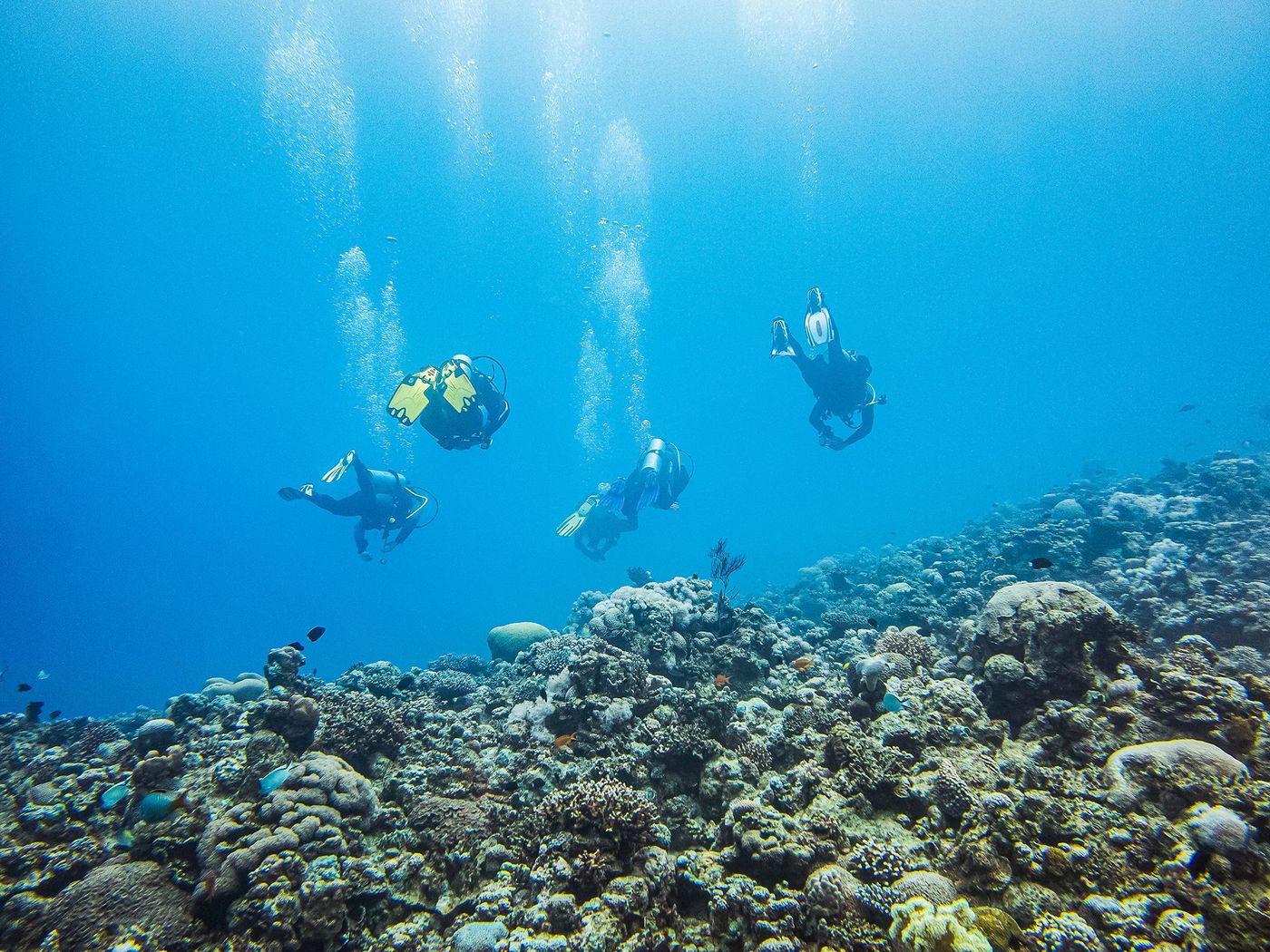 Plongée à Aqaba