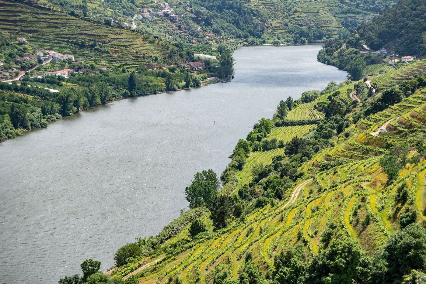 Vallée pittoresque du Douro avec vignobles en terrasses au point de vue d'Imaginario - Portugal