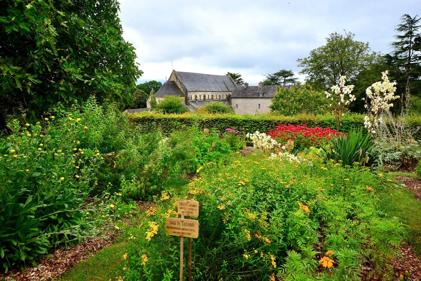 Abbaye Daoulas