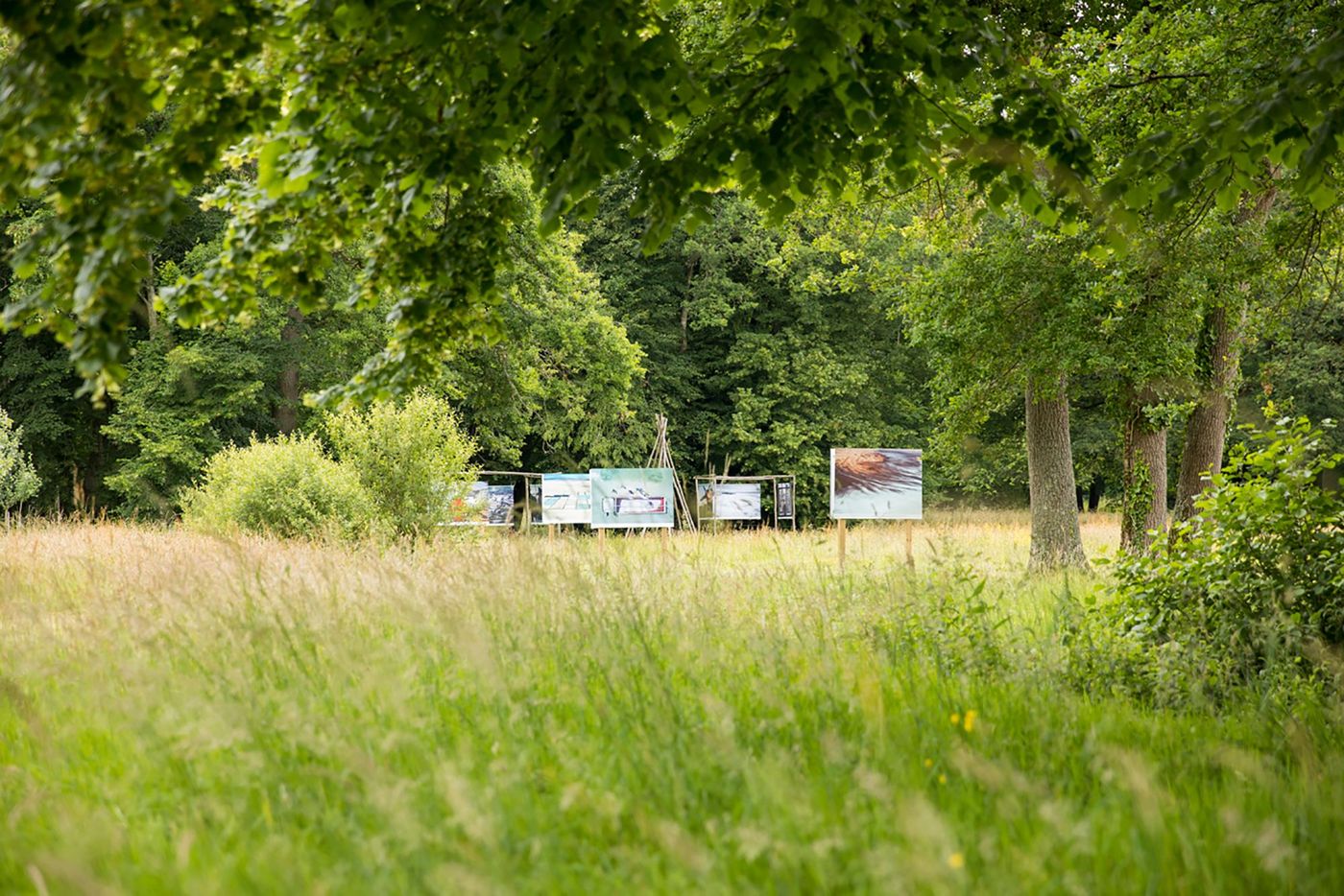 Abbaye royale de l'Épau - parcours photographiques dans le parc