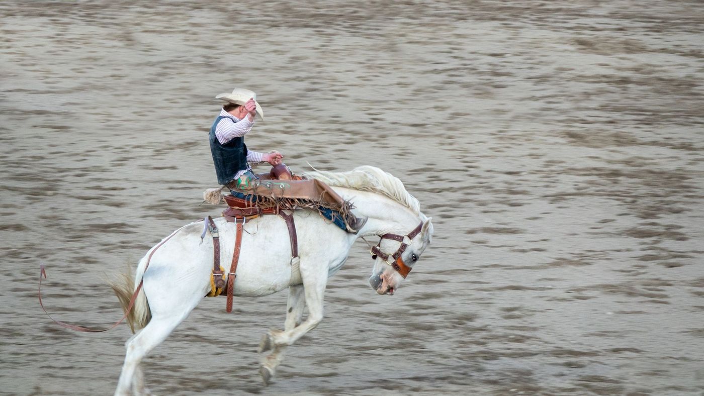 Rodéo dans le Wyoming