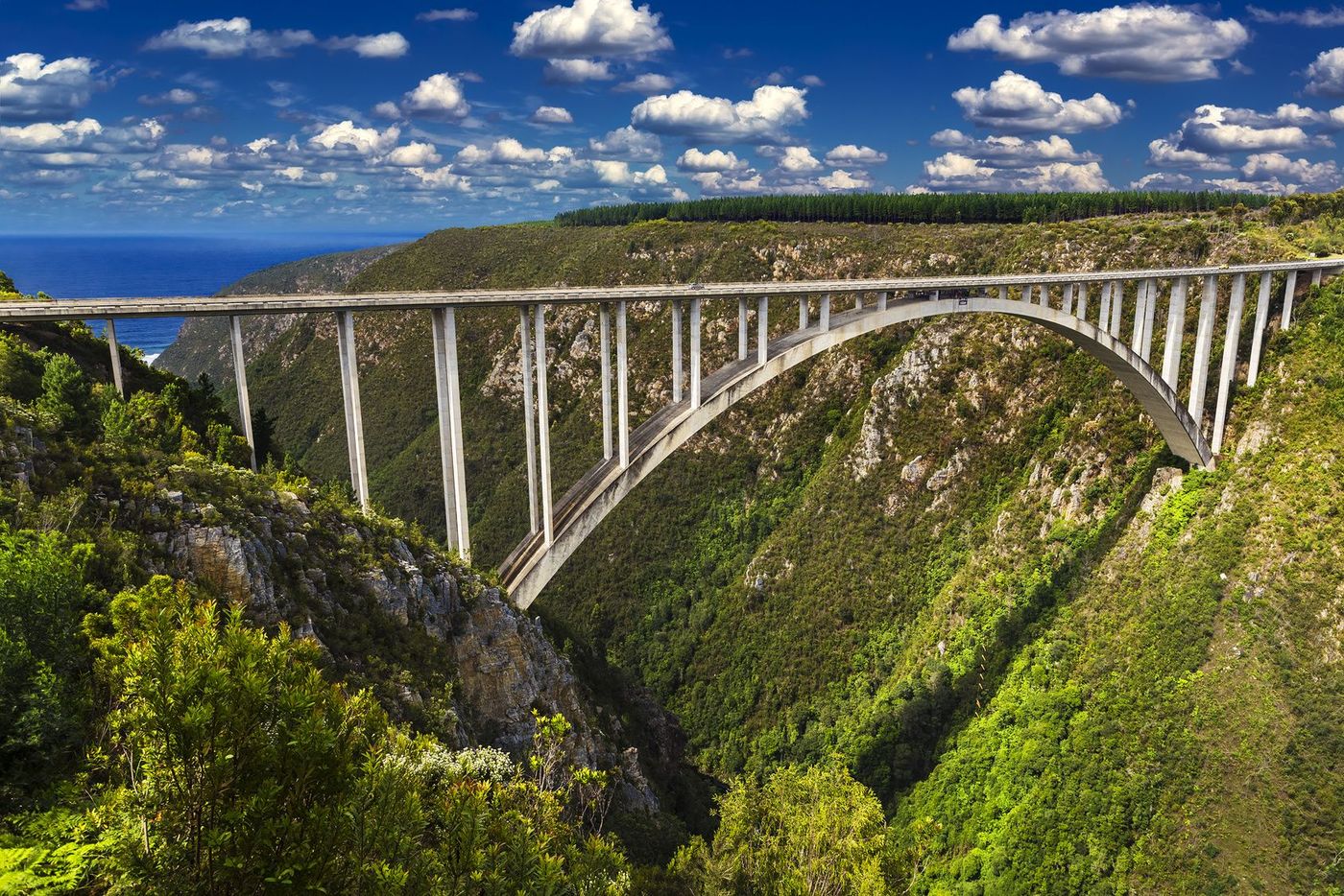 Afrique du Sud Tsitsikamma Bloukrans Bridge