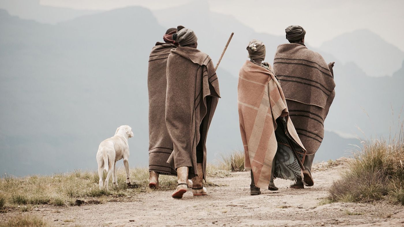 Lesotho Bergers