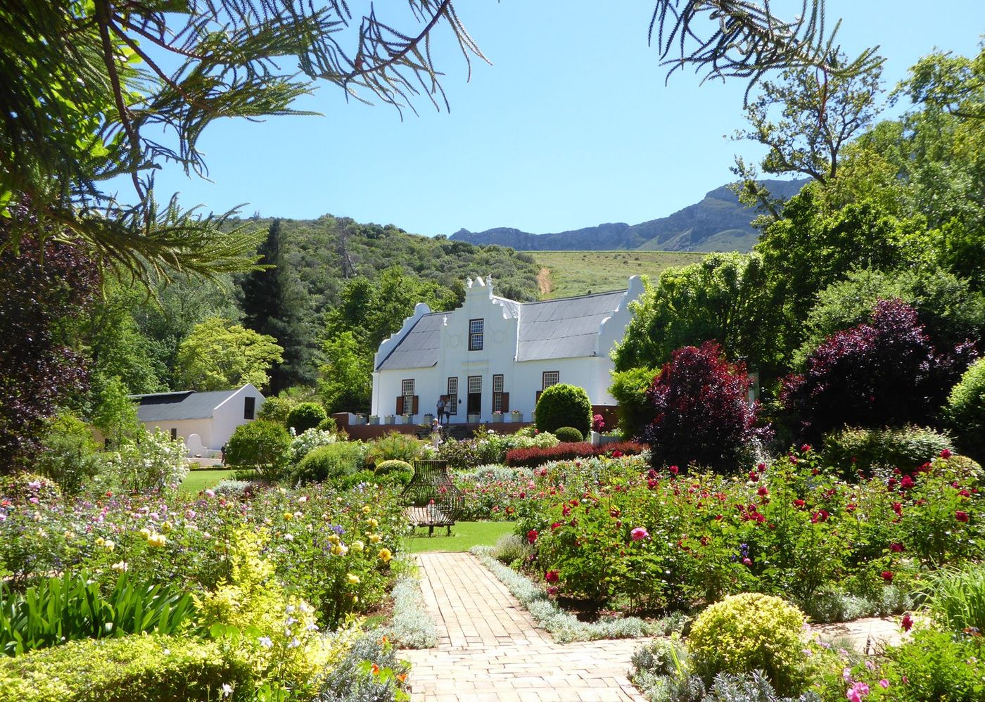 Afrique du Sud Stellenbosch Old Nectar