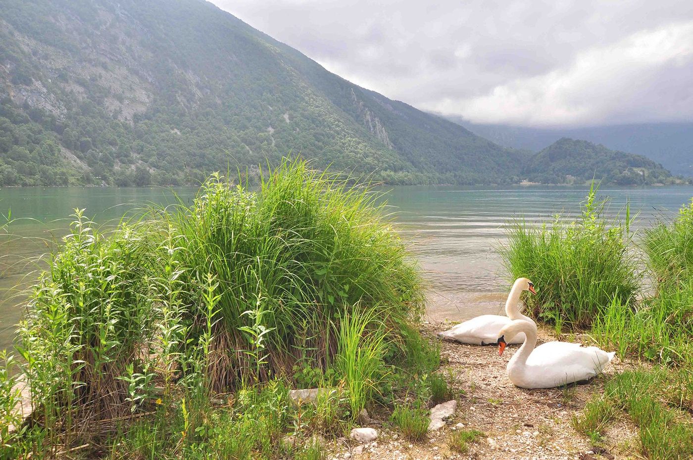 France Savoie Lac Aiguebelette