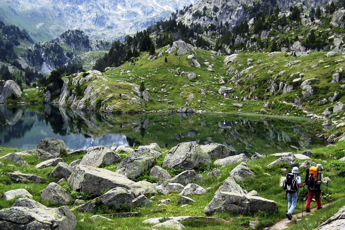 Camins