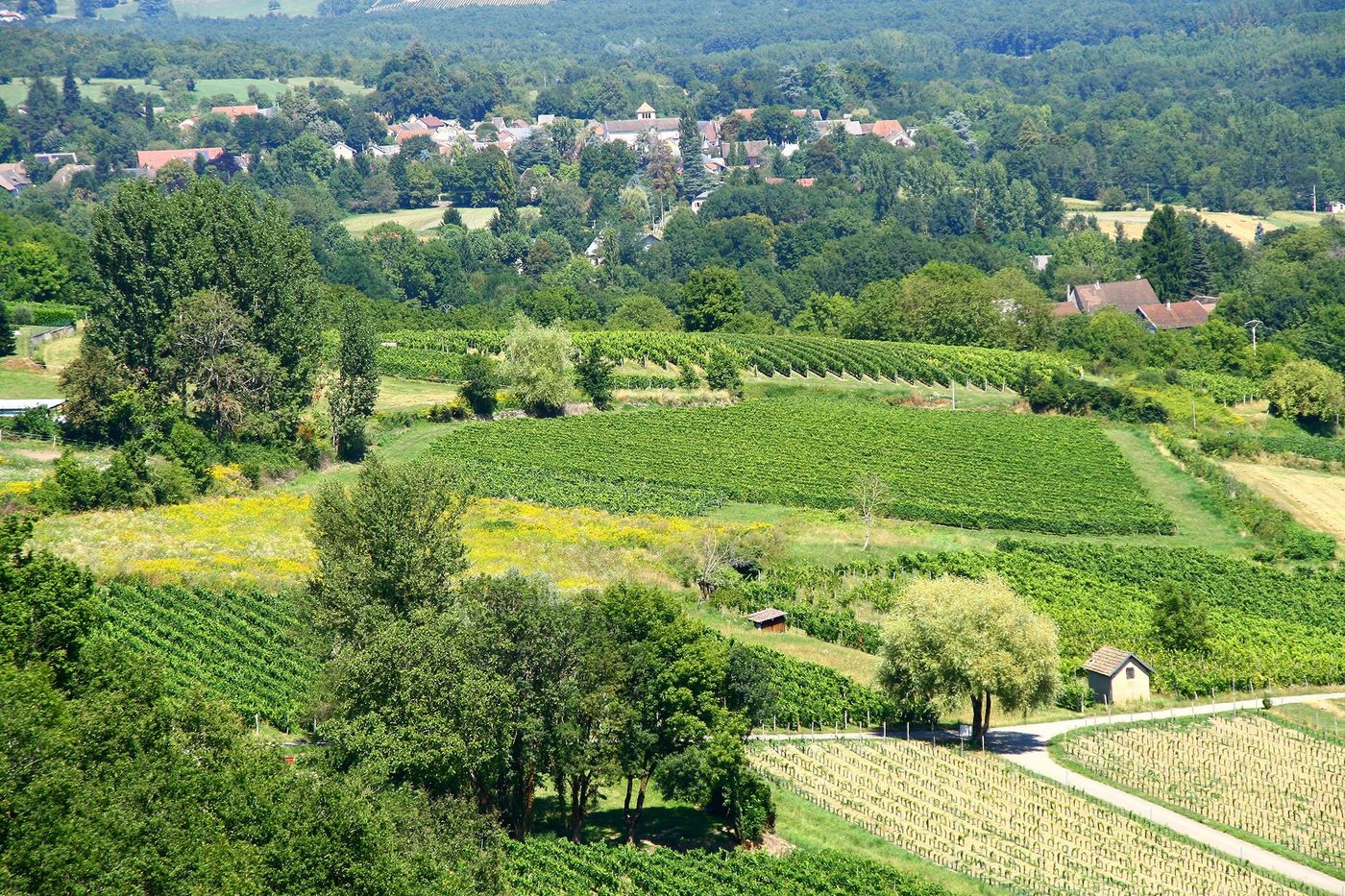 Ain Côteaux du Bugey vers Culoz