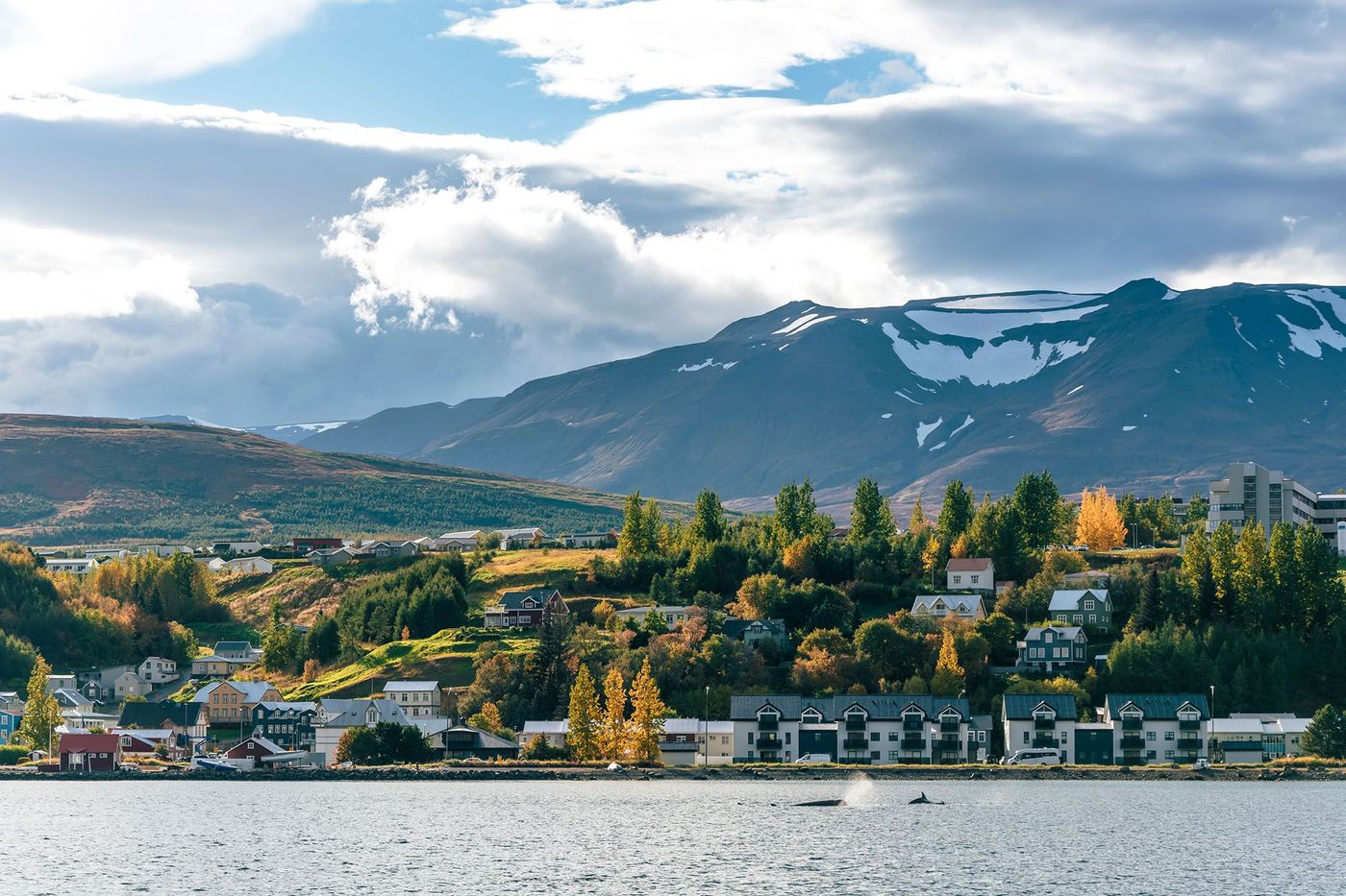 Vue de la ville d'Akureyri - Islande