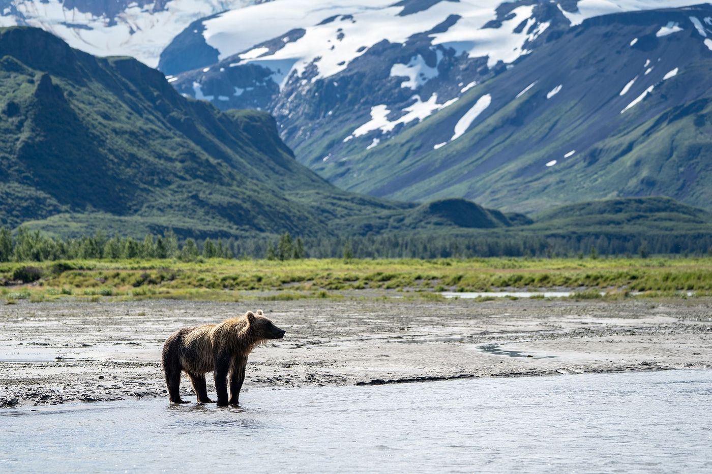 Alaska Katmai National Park