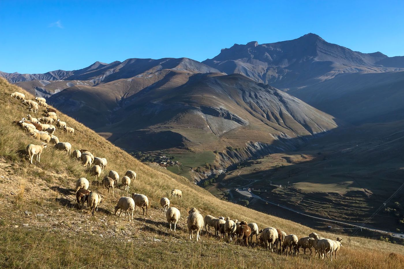 Alpages du plateau d' Emparis