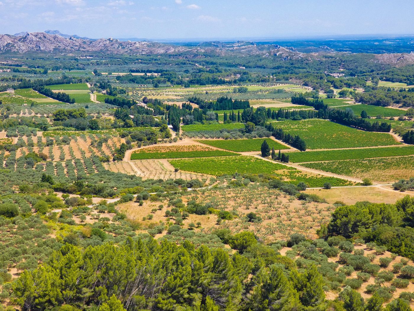 Magnificent landscape with a view of the fields, nature and the Alpilles from the heights of Baux de Provence in Provence in France