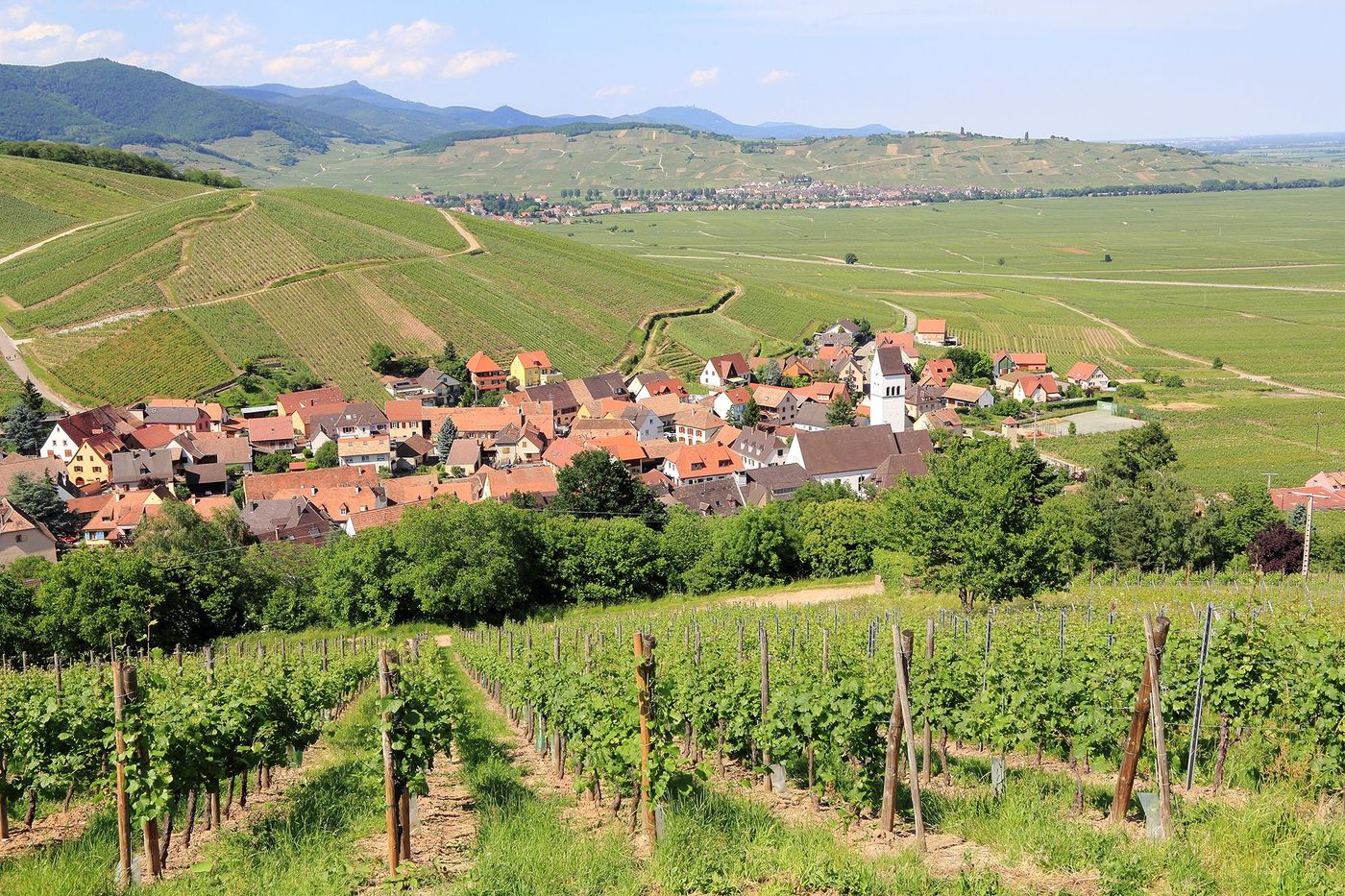 Alsace Katzenthal