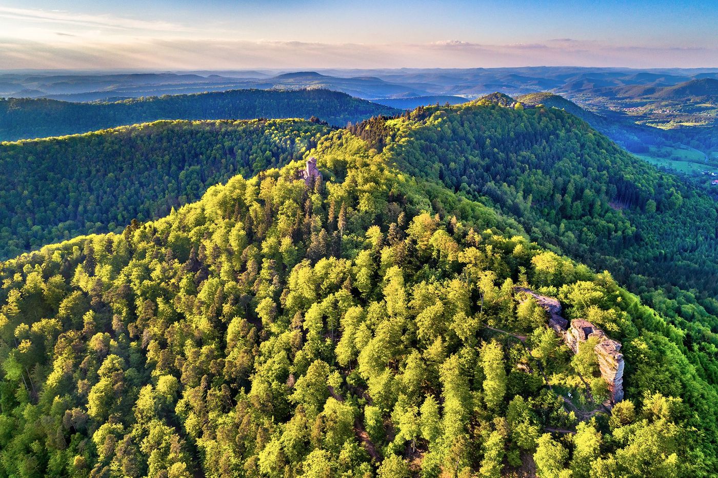 Alsace Loewenstein