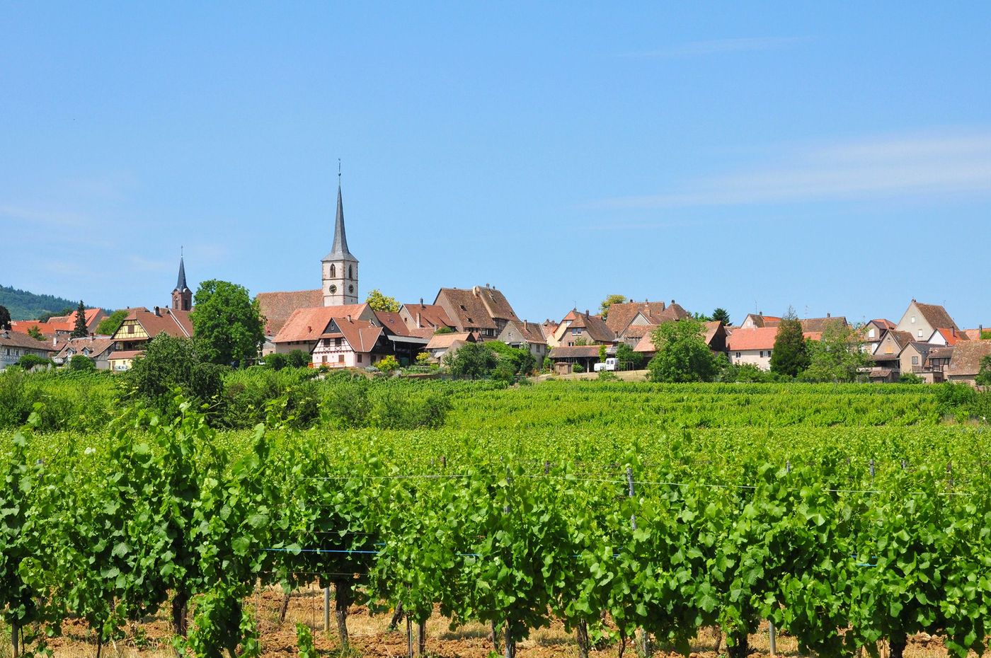 Alsace Mittelbergheim