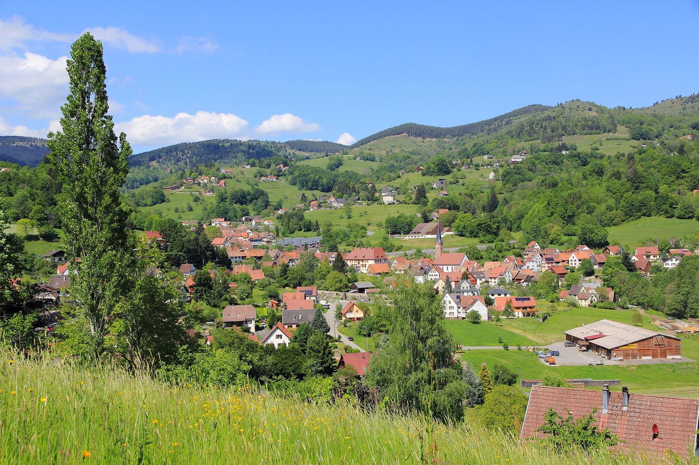 Alsace Soultzeren