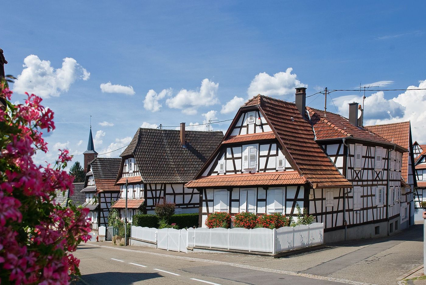 Alsace Vosges