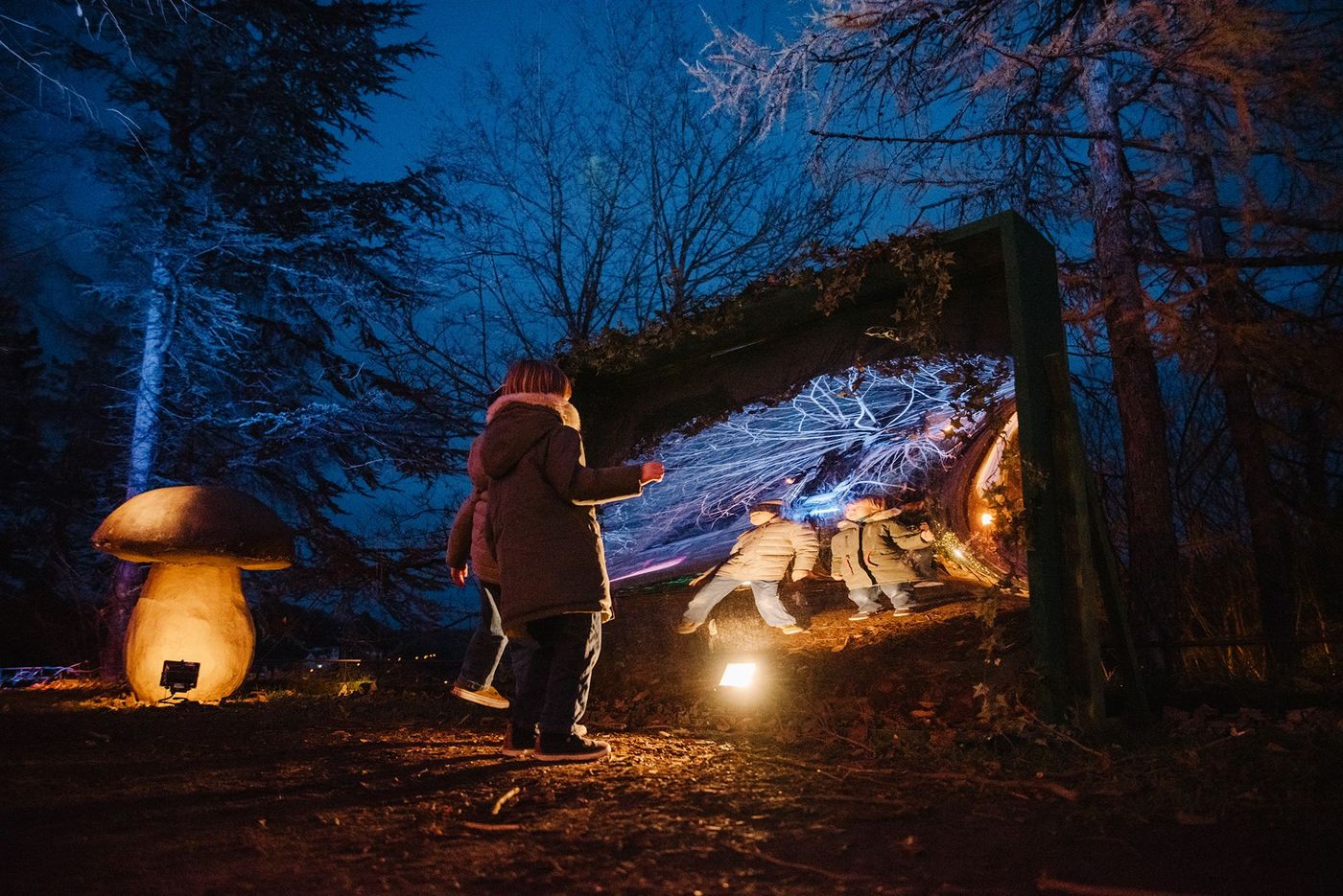La Forêt Enchantée à Altkirch