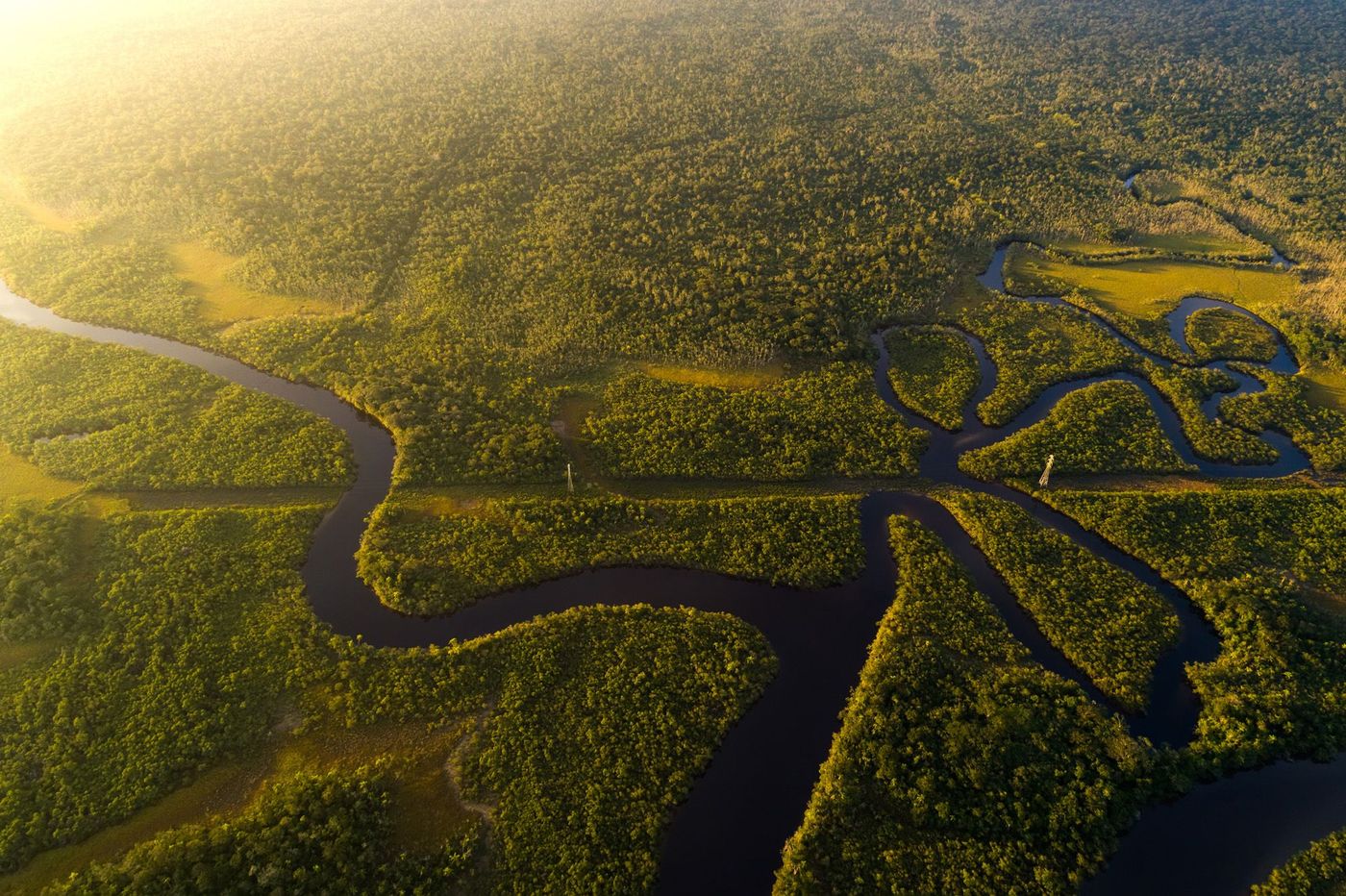 Amazone Fleuve Brésil