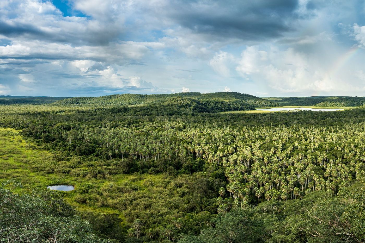 Bolivie Amazonie