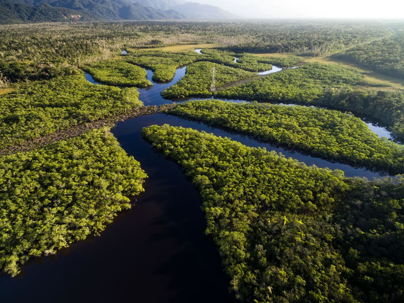 Amazonie Brésil Fleuve