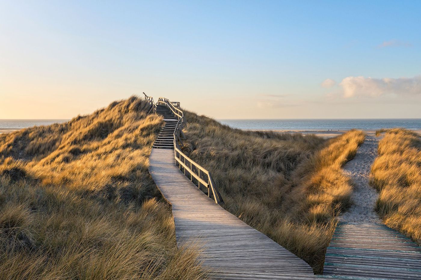 Amrum - dunes