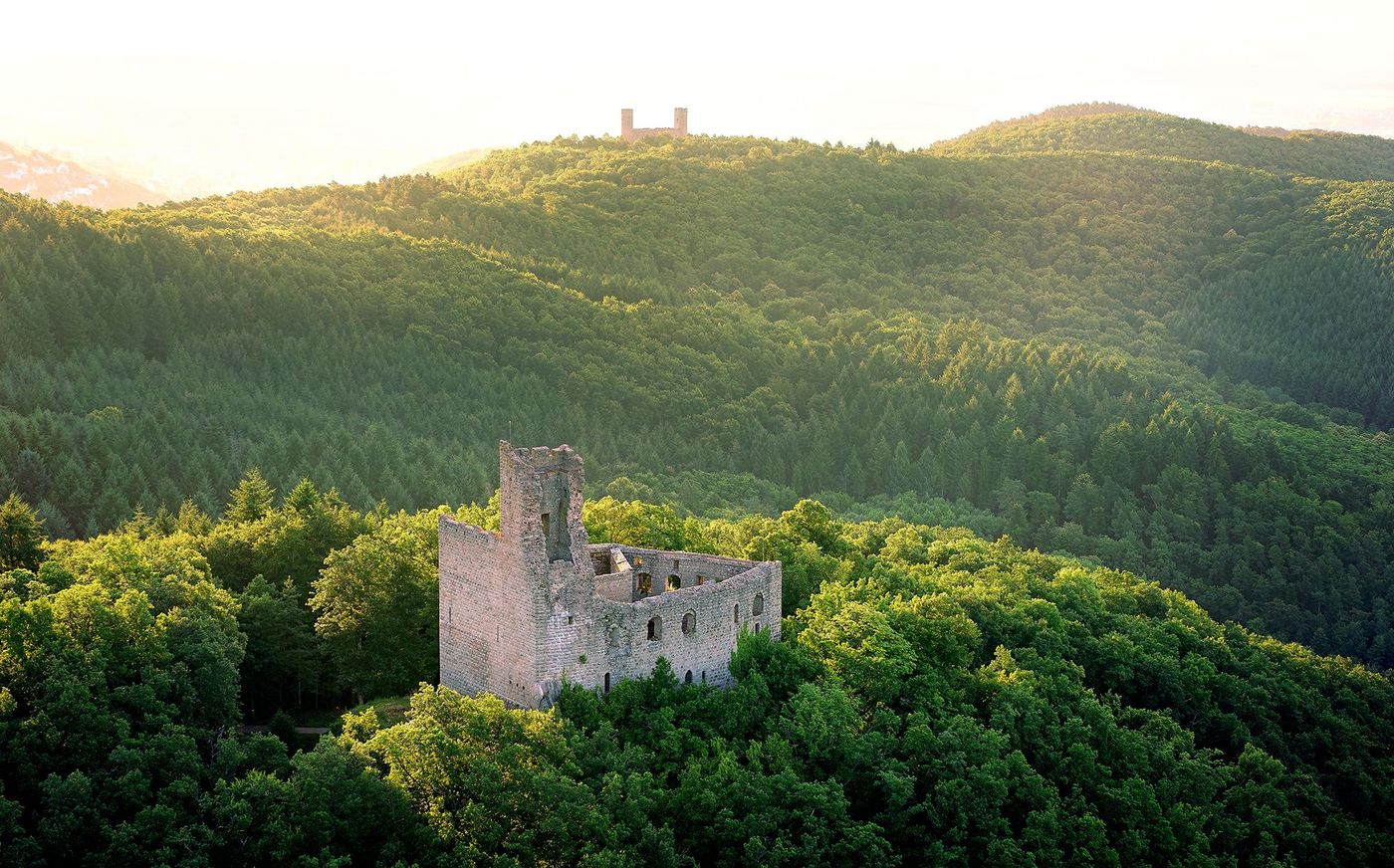 Château Spesbourg - Château Haut d'Andlau