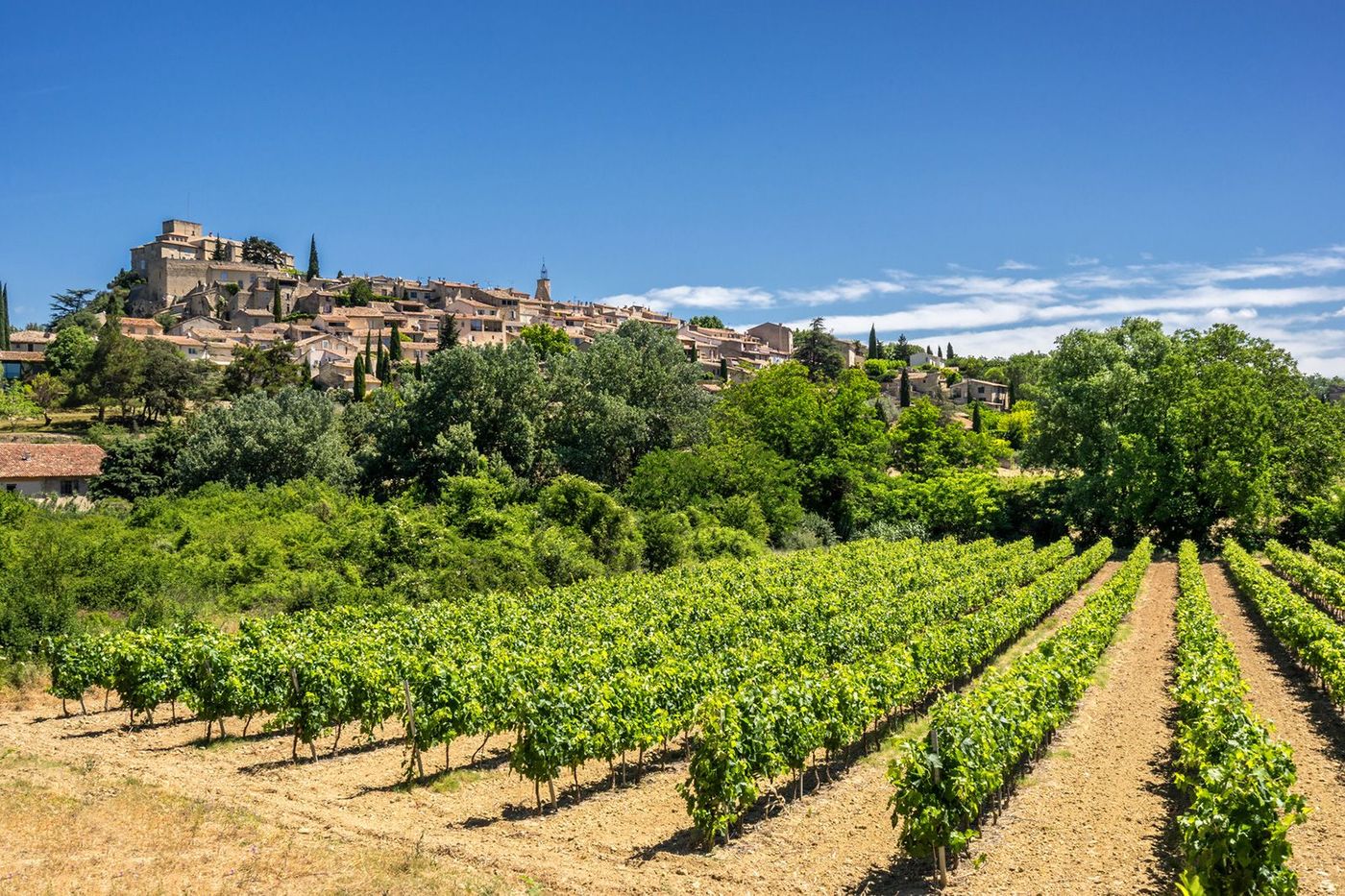 Provence Lubéron Ansouis Vignes