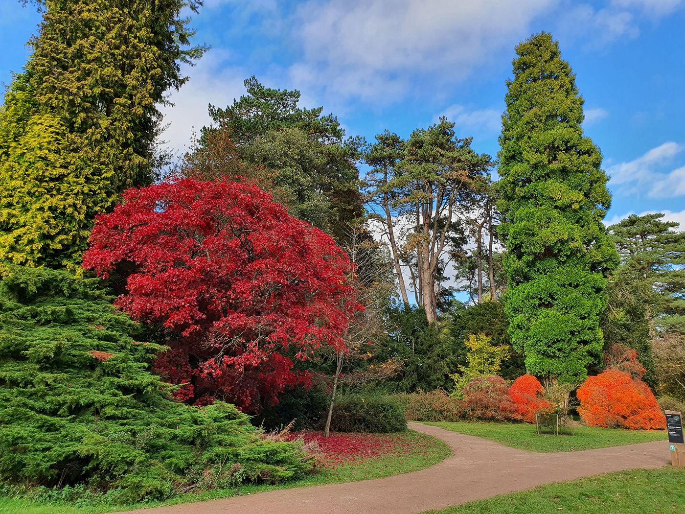 Arboretum national de Westonbirt