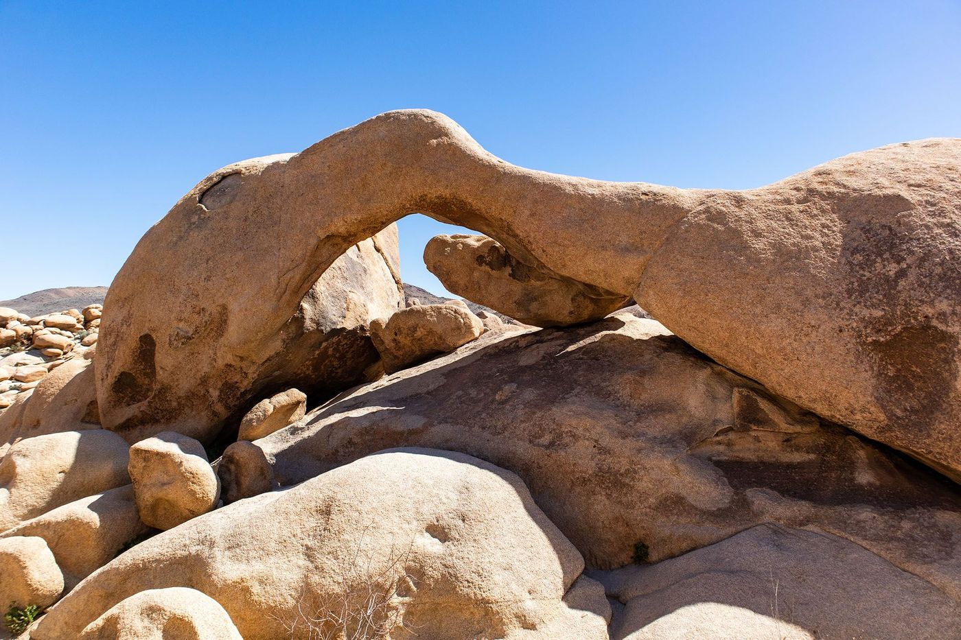 Arch Rock Trail - Joshua Tree
