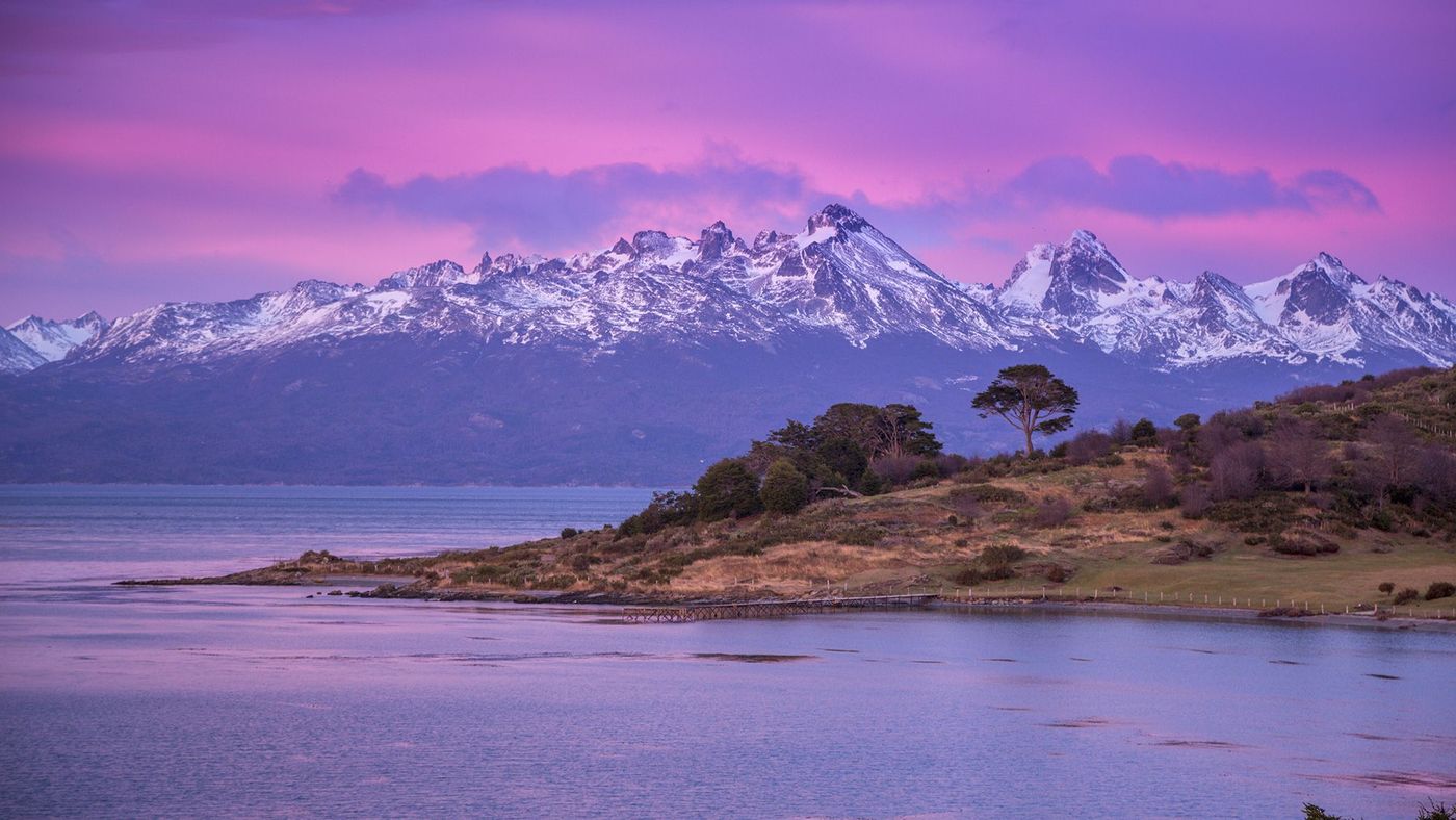 Argentine Canal Beagle