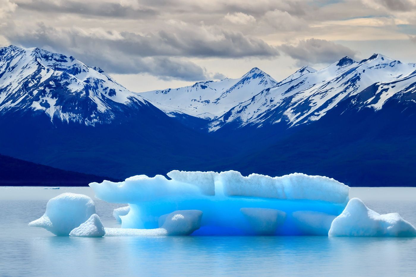 Argentine Lago Argentino
