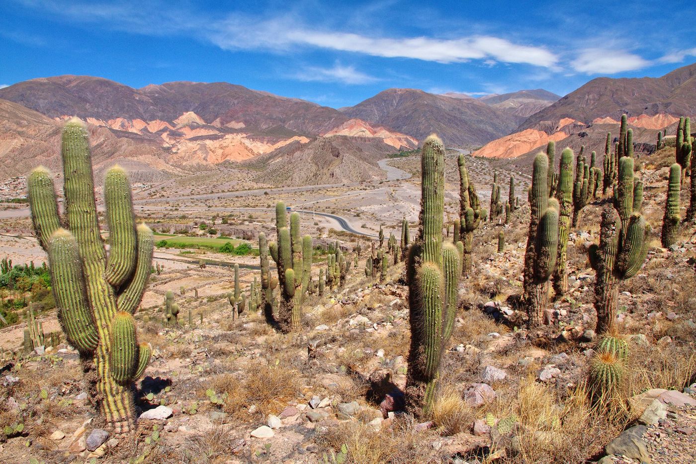 Argentine Quebrada Huamaca