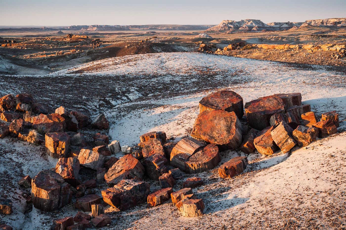 Arizona Petrified Forest