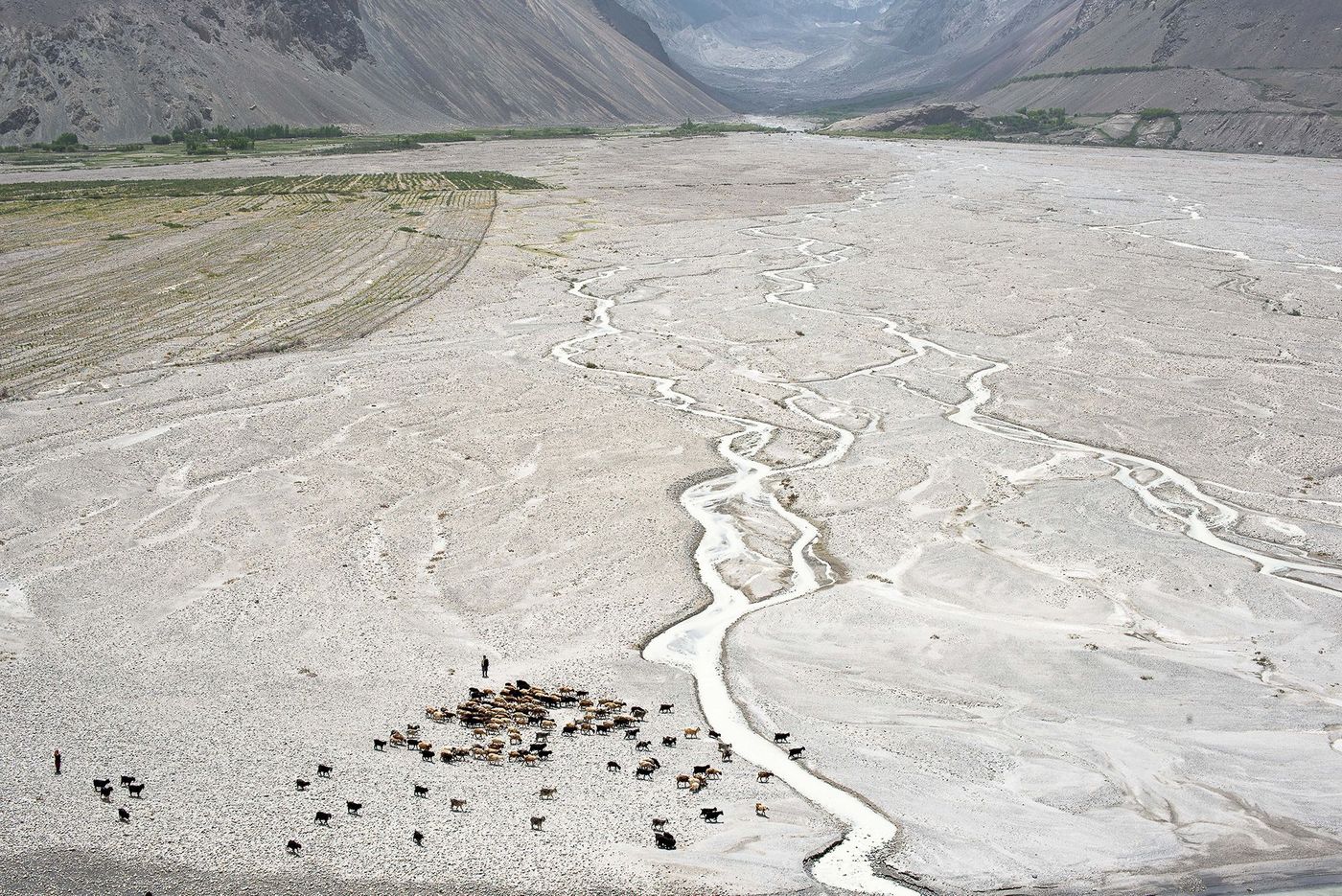 Bergères du côté afghan de la vallée du Wakhan, Tadjikistan