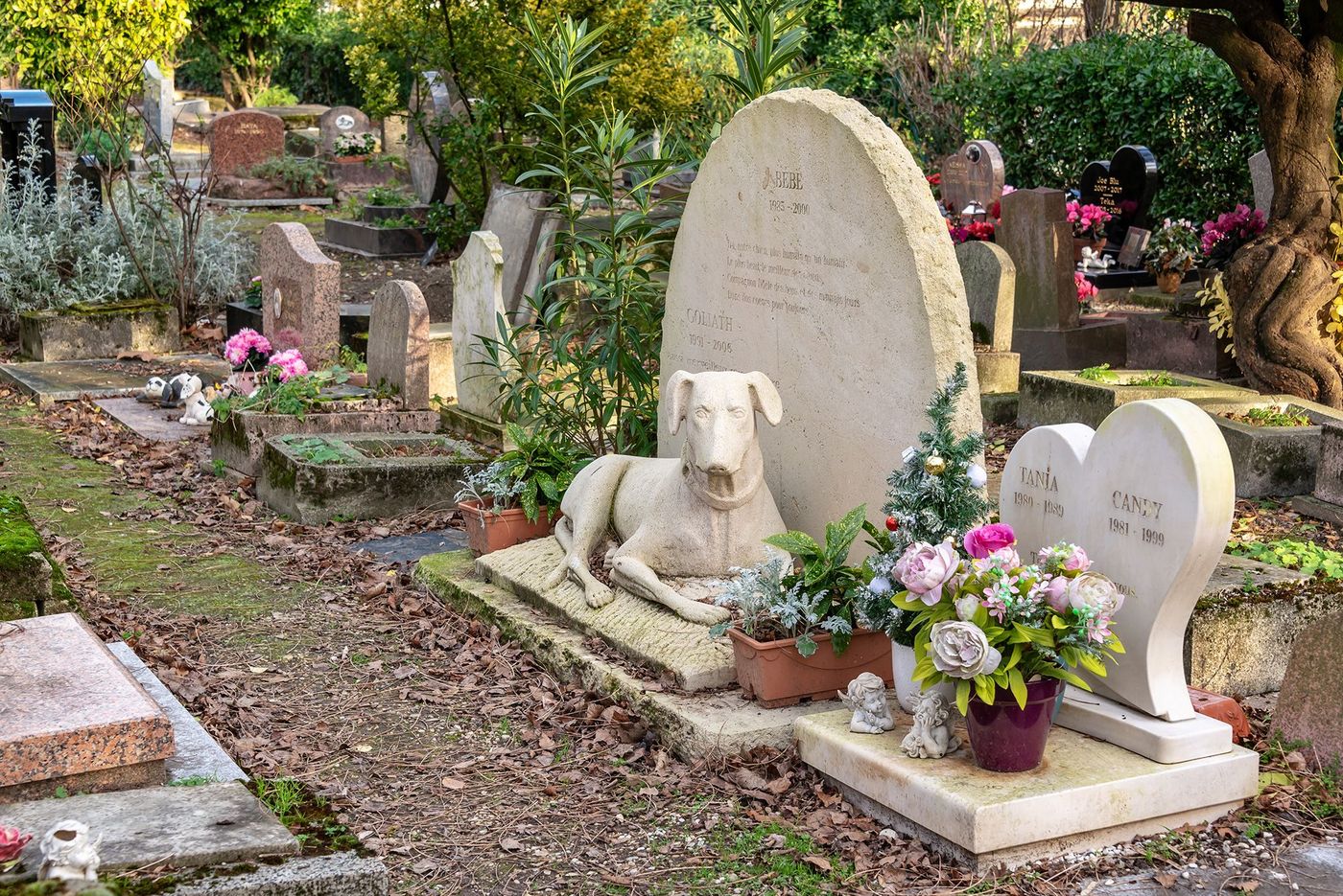 Asnières-sur-Seine Cimetière des chiens