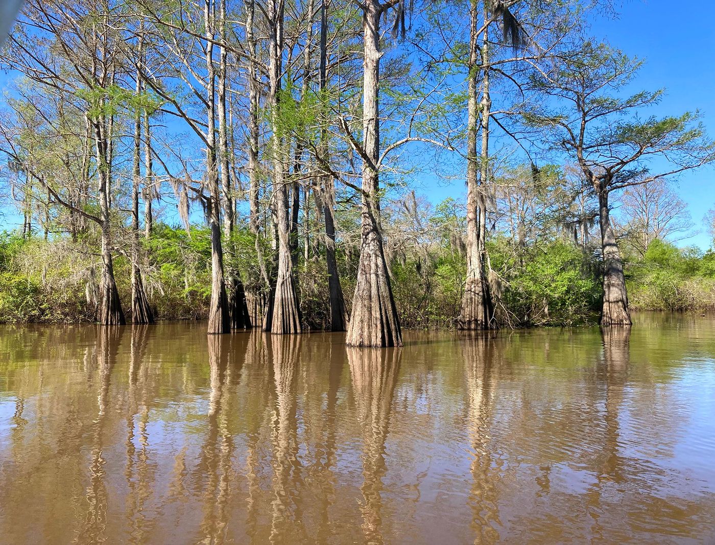 Atchafalaya