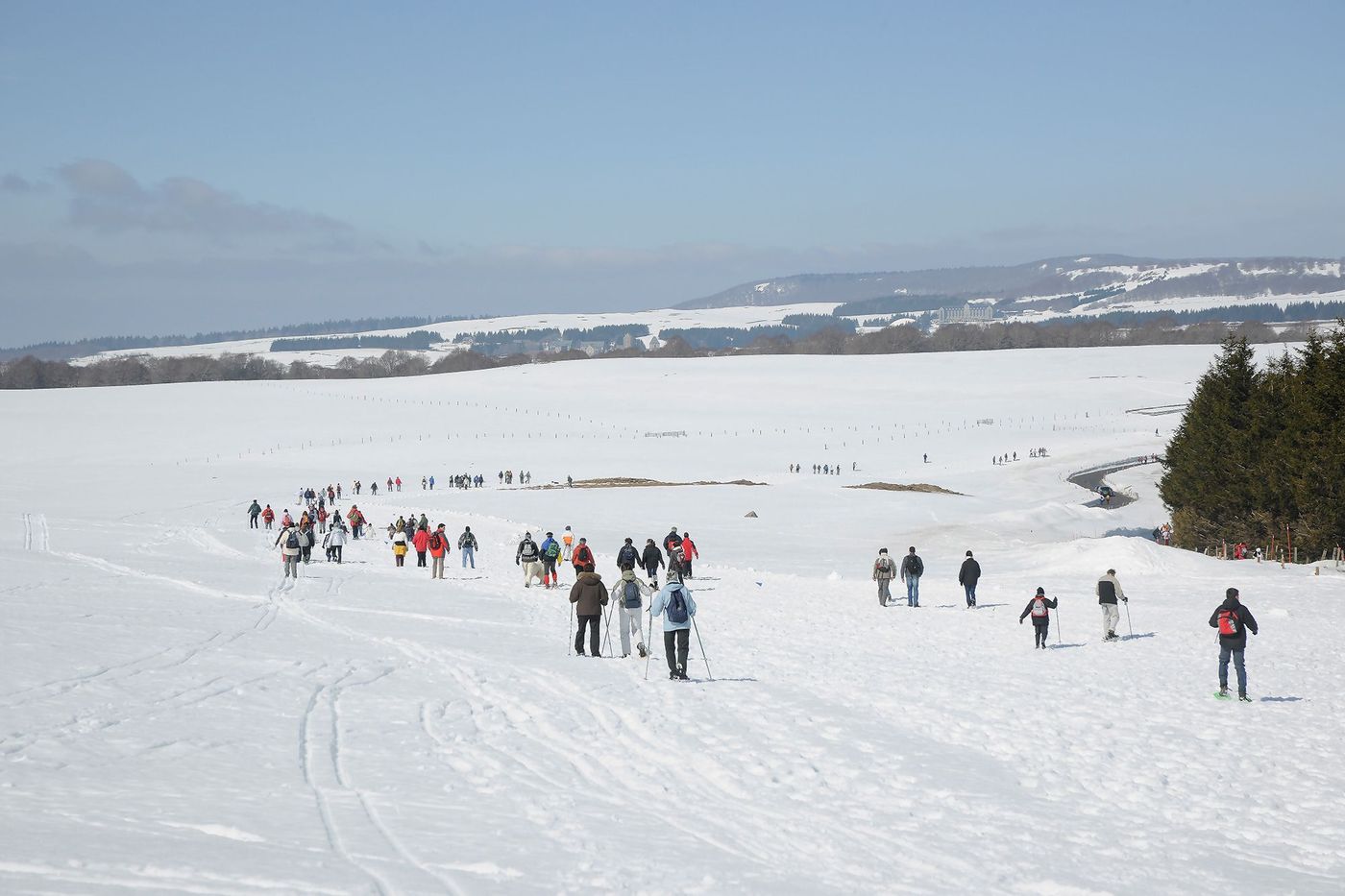 Aubrac hiver