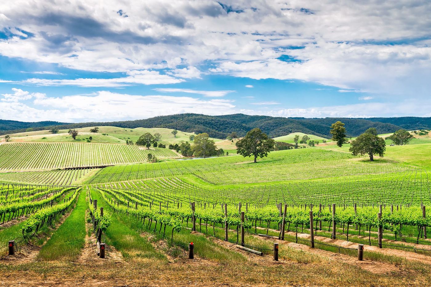 Australie Barossa Valley