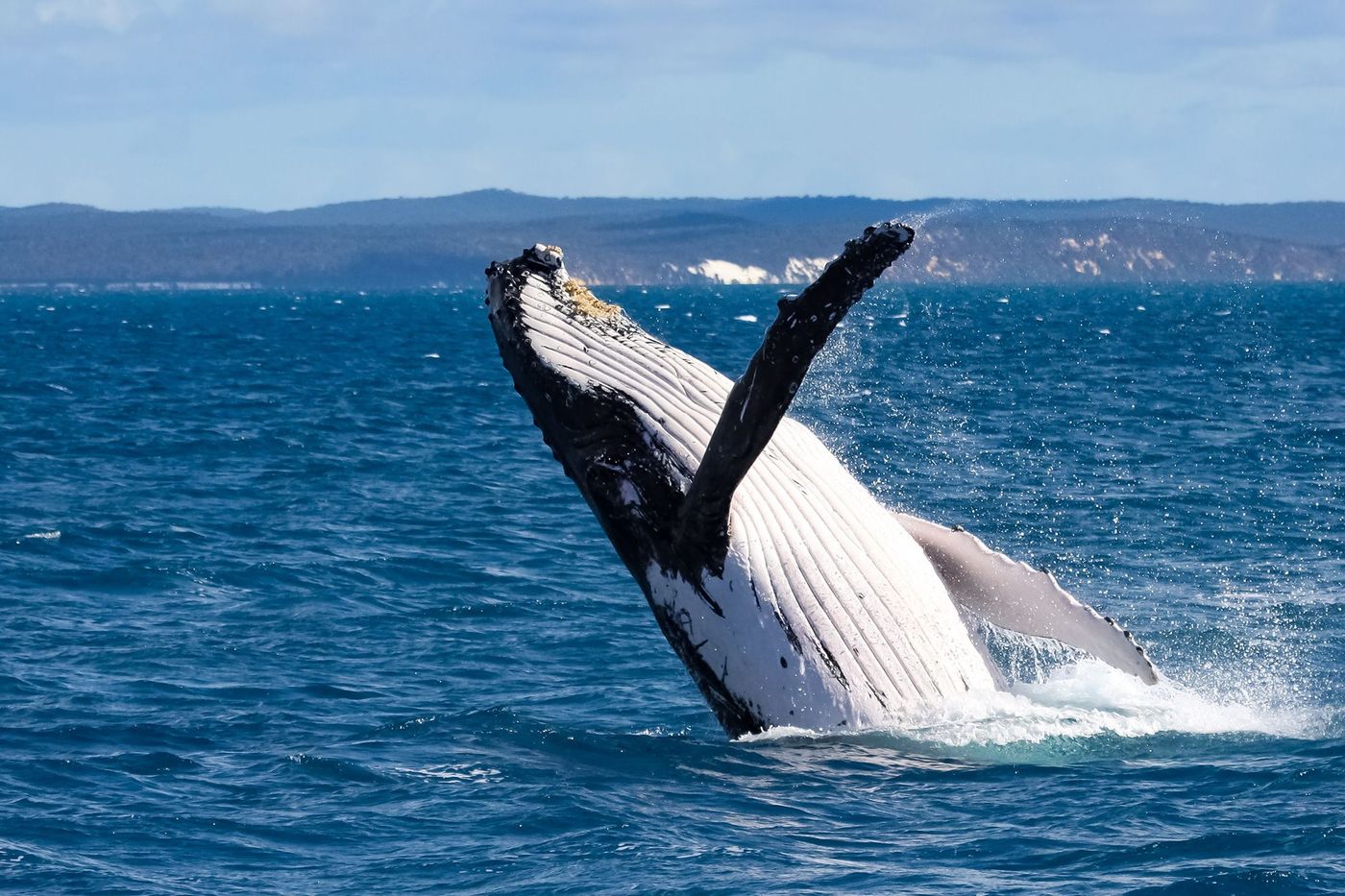 Australie Hervey Bay
