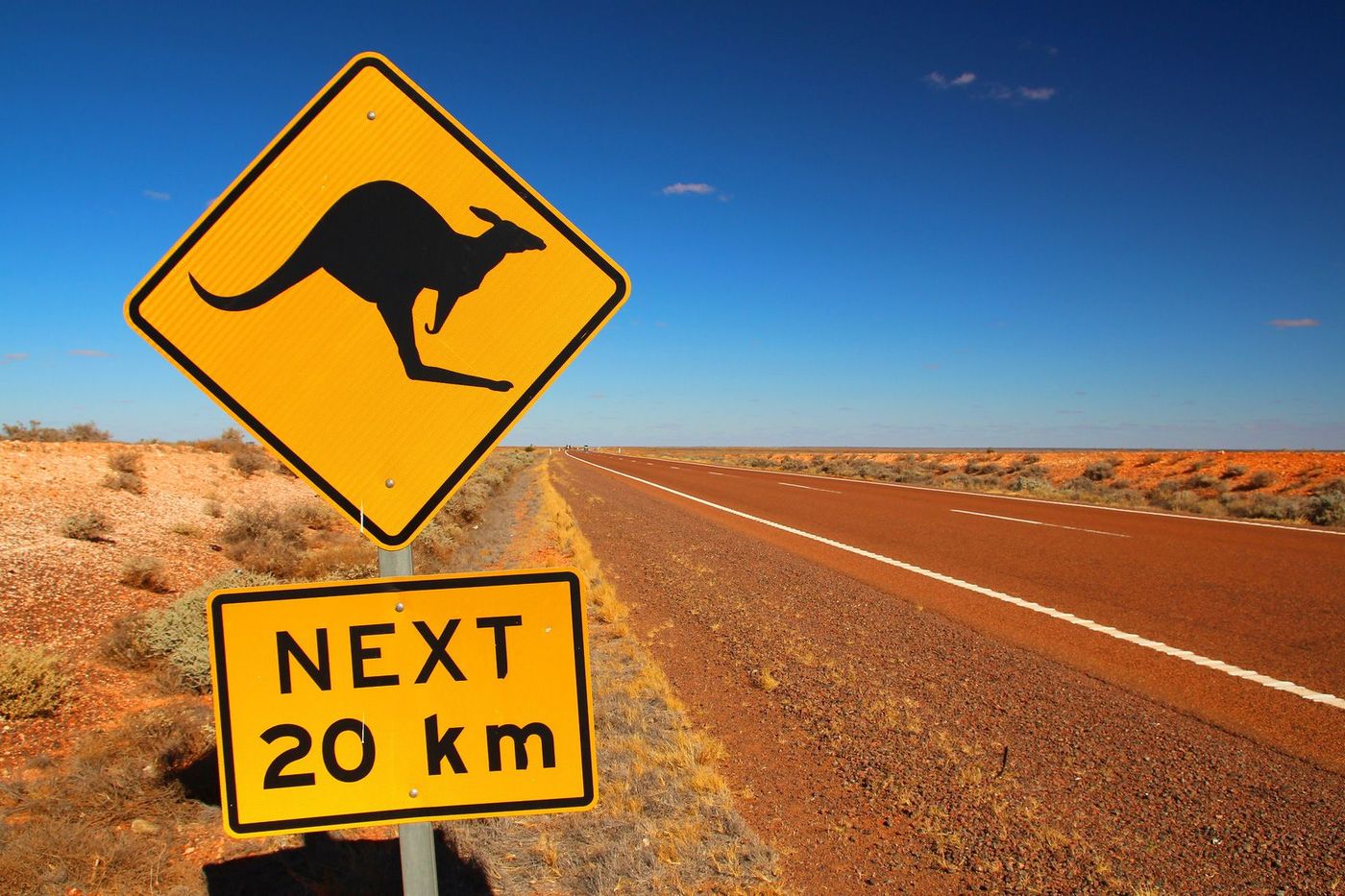 Australie route panneau kangourou