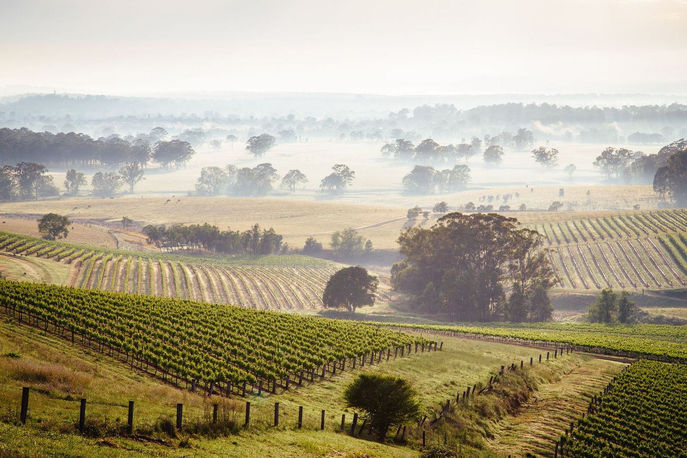 Australie Hunter Valley