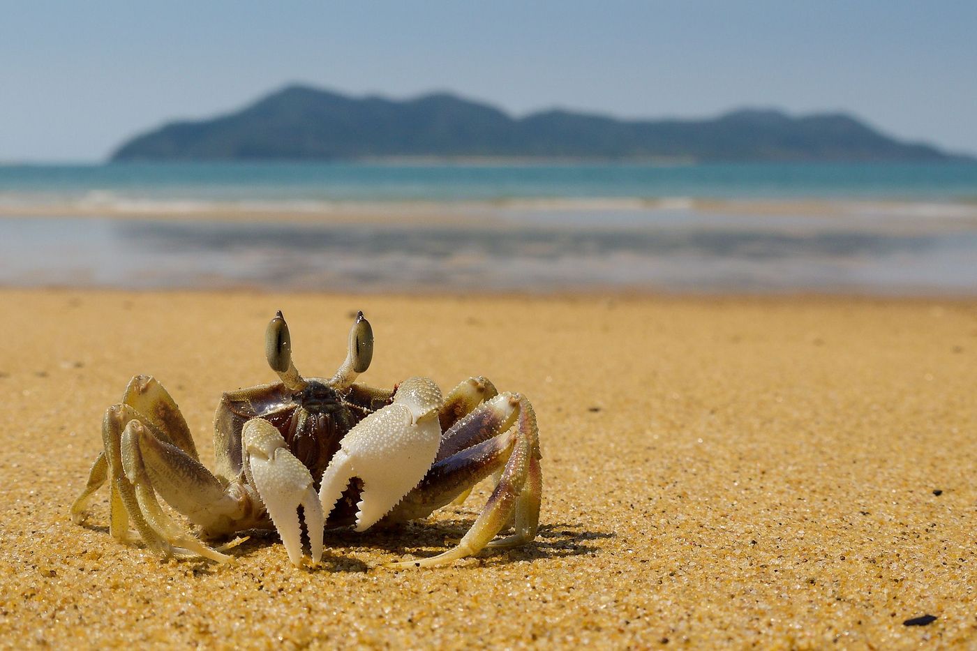 Australie Mission Beach