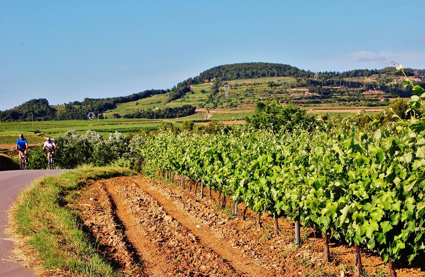 Avinyonet del Penedes