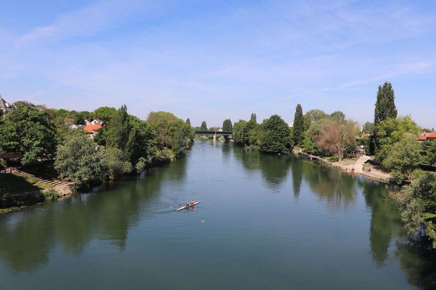 Aviron à Champigny
