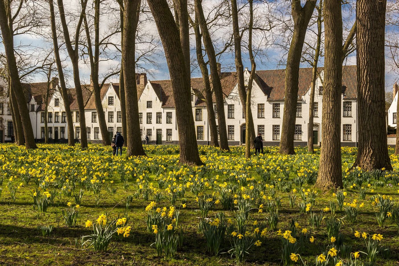 Béguinage de la Vigne - Bruges
