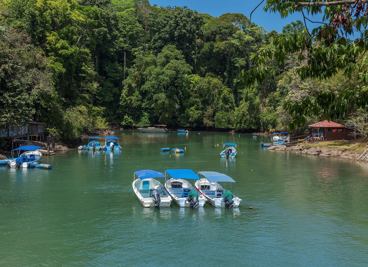 Bahía Drake