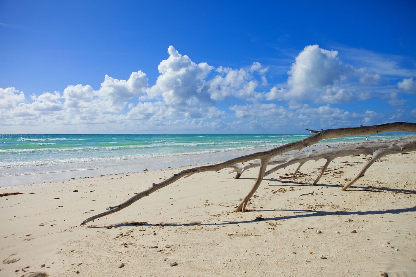 Bahamas Plage
