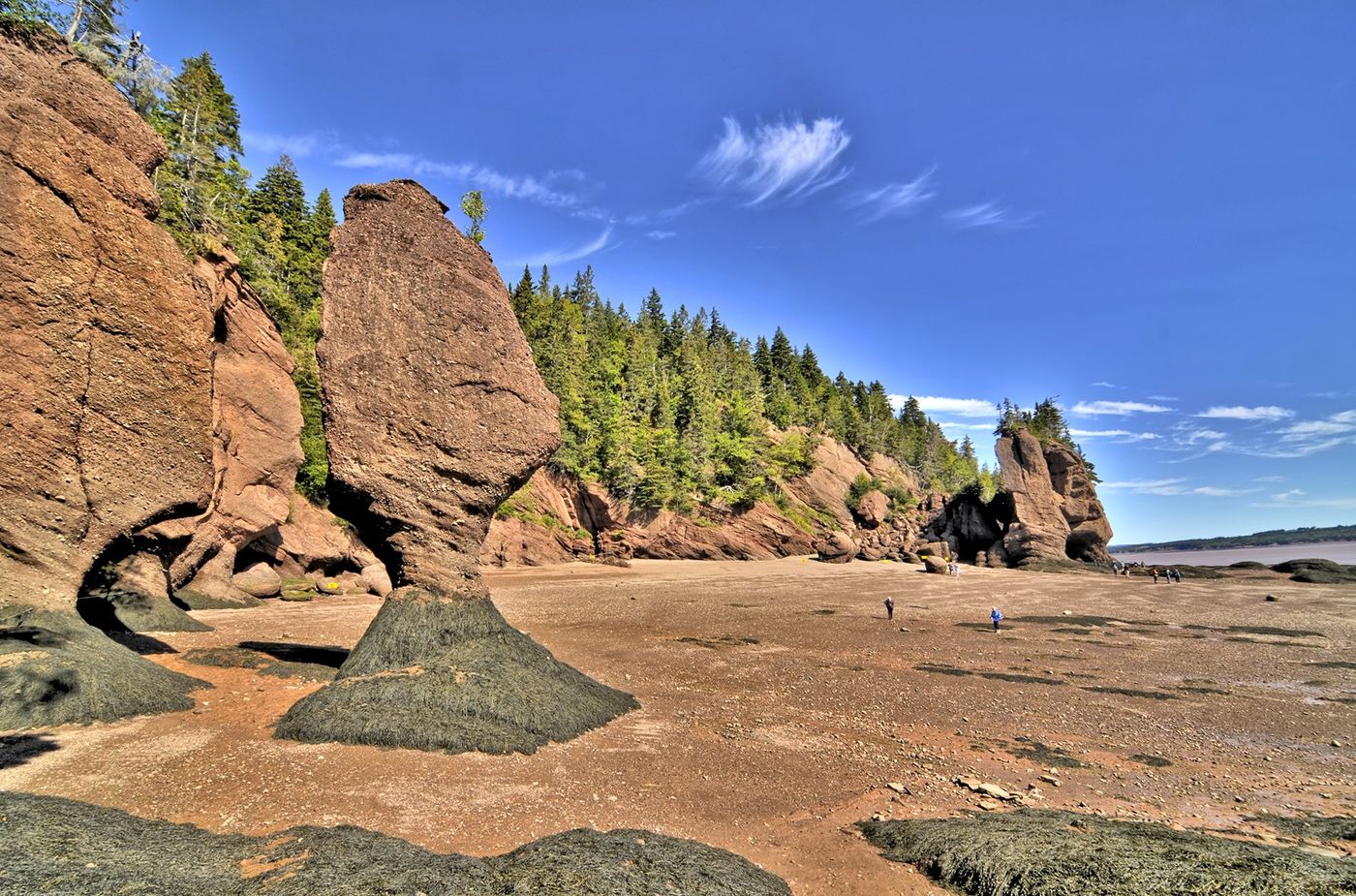 Baie de Fundy