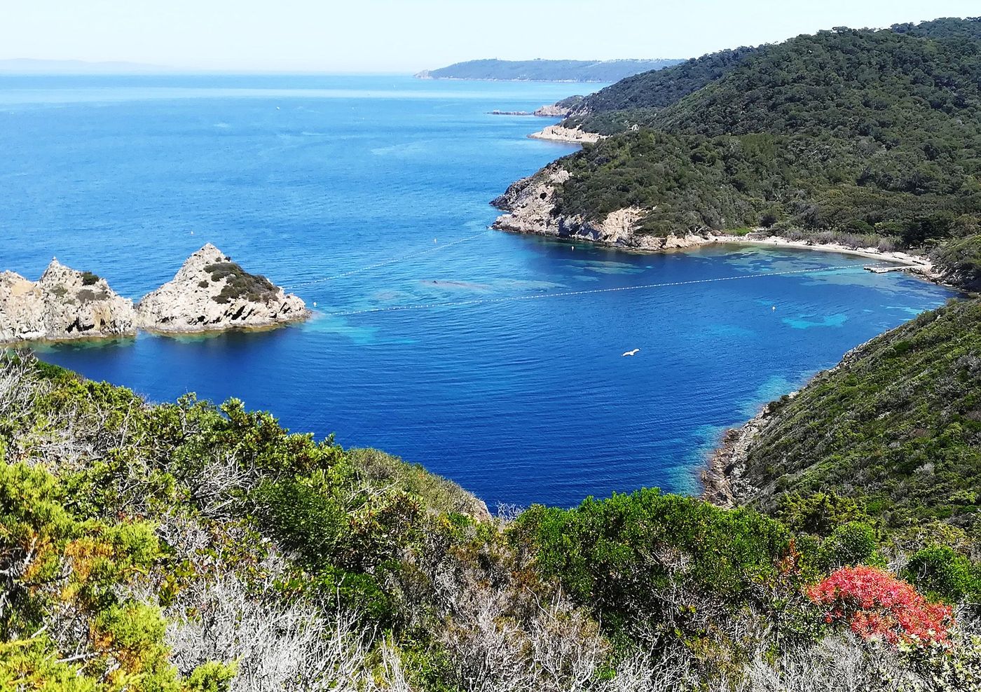 Baie de l'Île de Port-Cros