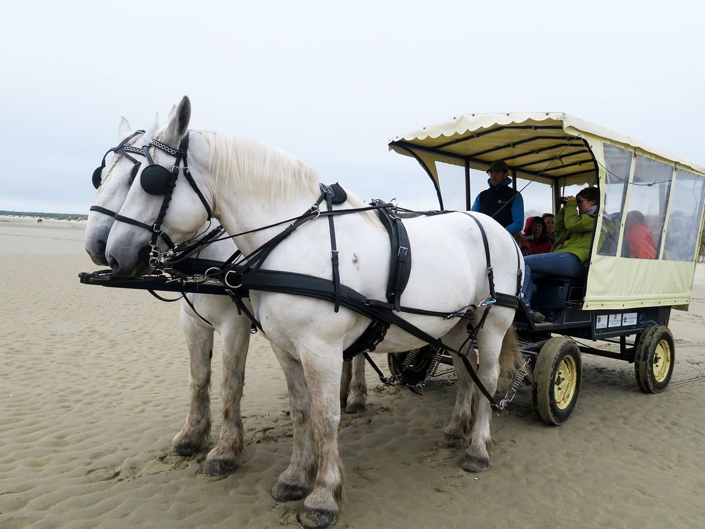Baie de Somme Calèche